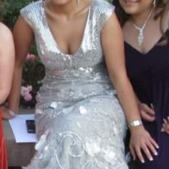 Silver Dress - Picture 2 of 5